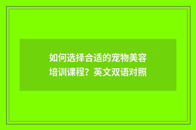 如何选择合适的宠物美容培训课程?英文双语对照