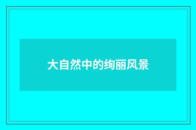 大自然中的绚丽风景