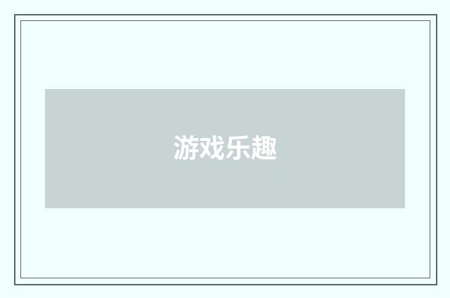 游戏乐趣
