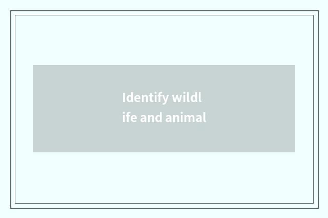 Identify wildlife and animal