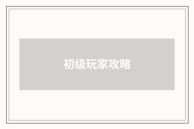 初级玩家攻略