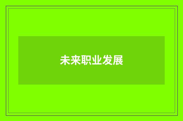 未来职业发展