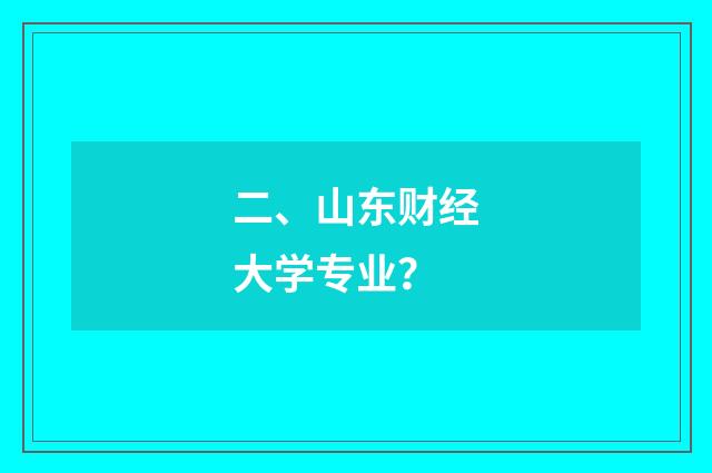 二、山东财经大学专业?