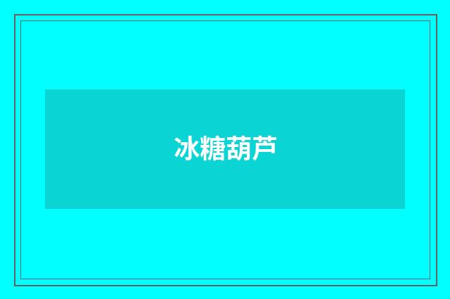 冰糖葫芦