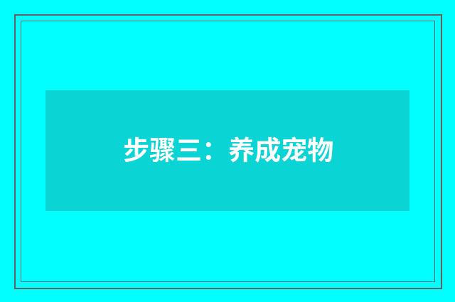 步骤三:养成宠物