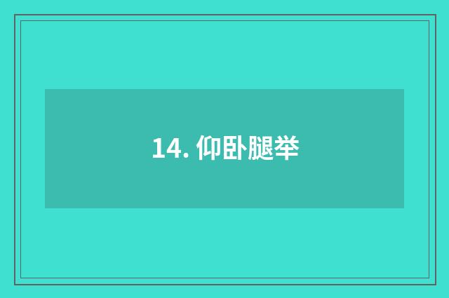 14. 仰卧腿举