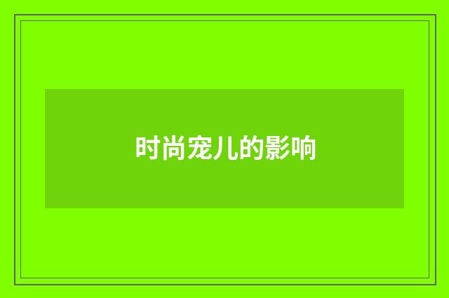 时尚宠儿的影响