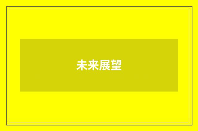未来展望