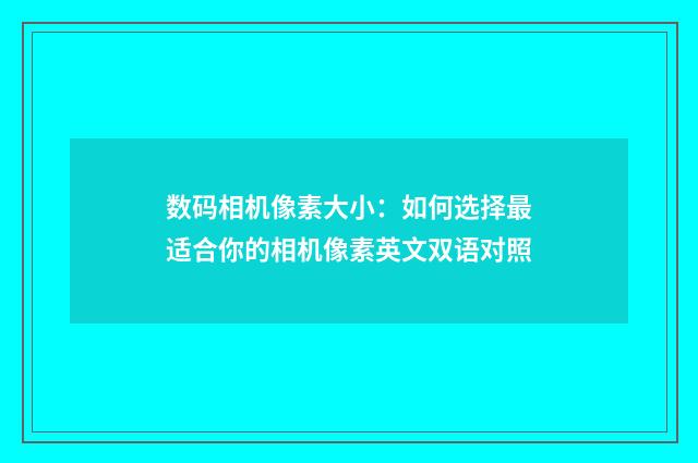 数码相机像素大小:如何选择最适合你的相机像素英文双语对照
