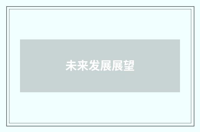 未来发展展望