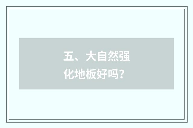 五、大自然强化地板好吗?