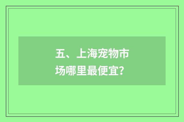 五、上海宠物市场哪里最便宜?