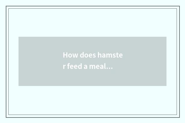 How does hamster feed a meal?