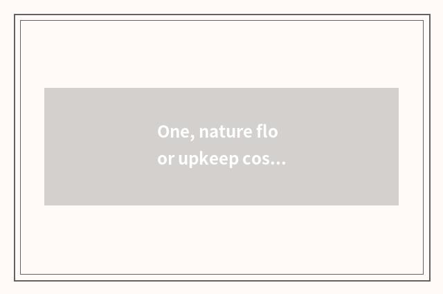 One, nature floor upkeep costs?