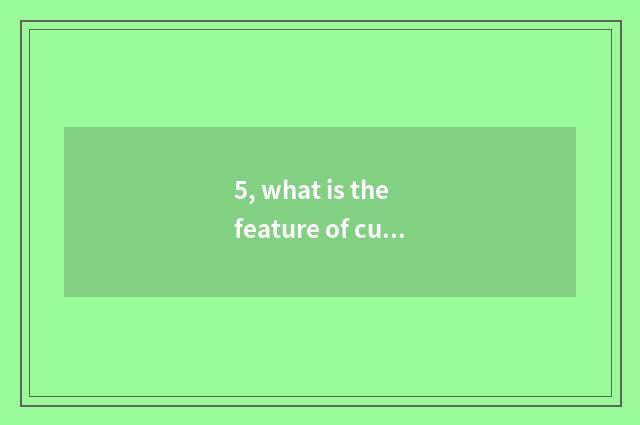 5, what is the feature of culture of company of urban orbit transportation?