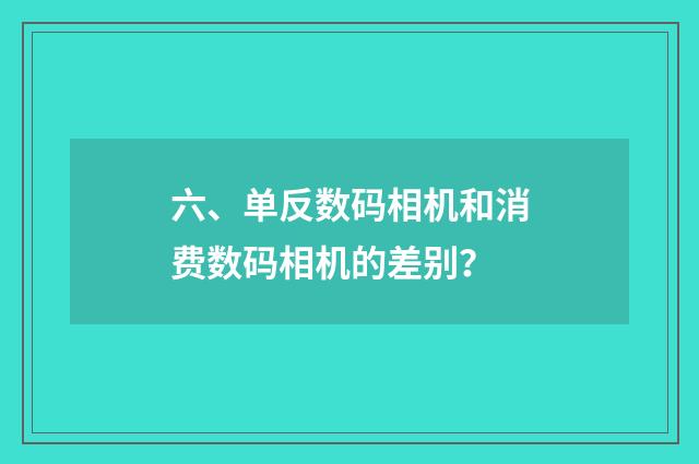 六、单反数码相机和消费数码相机的差别？
