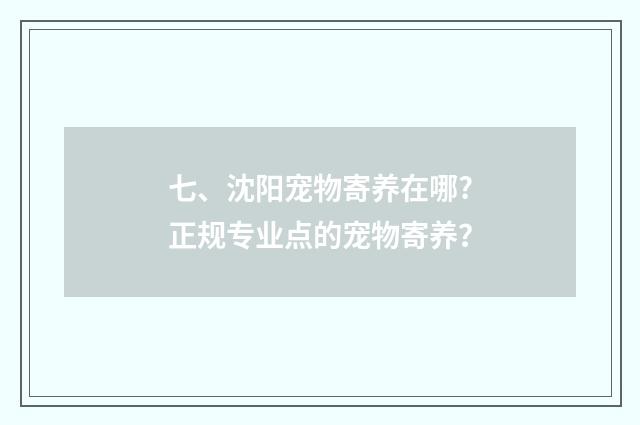 七、沈阳宠物寄养在哪?正规专业点的宠物寄养?