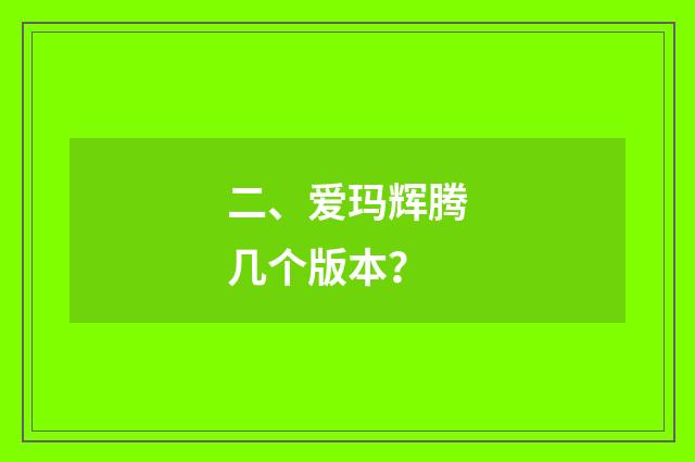 二、爱玛辉腾几个版本?