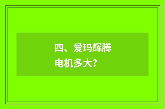 四、爱玛辉腾电机多大？