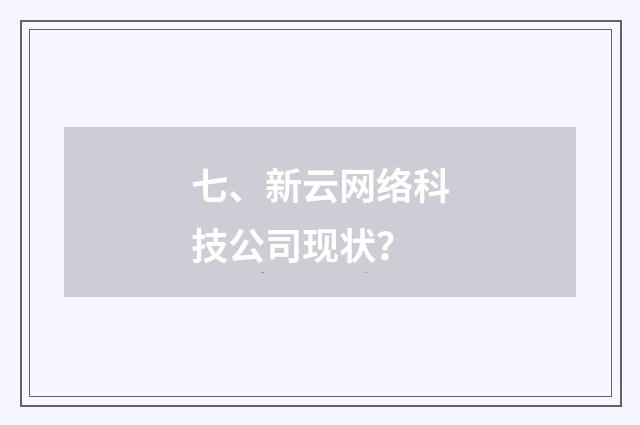 七、新云网络科技公司现状?