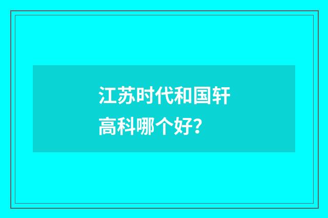 江苏时代和国轩高科哪个好?