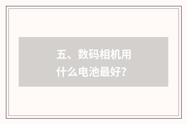五、数码相机用什么电池最好?