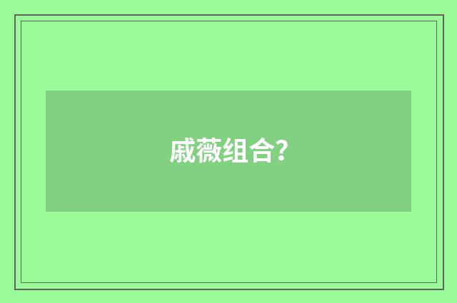戚薇组合?