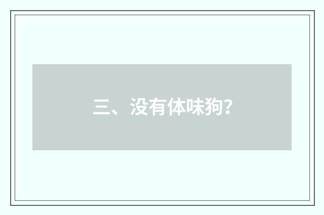 三、没有体味狗?