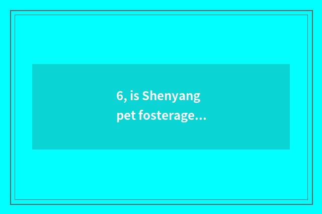 6, is Shenyang pet fosterage in? The pet ask sb to bring up one's child that nor