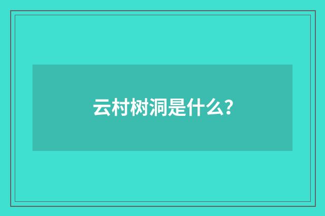 云村树洞是什么?
