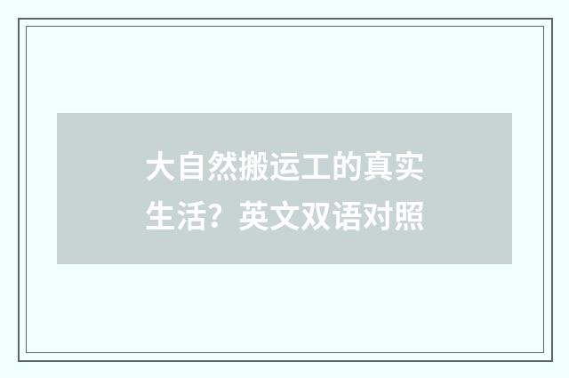 大自然搬运工的真实生活？英文双语对照