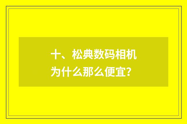十、松典数码相机为什么那么便宜?