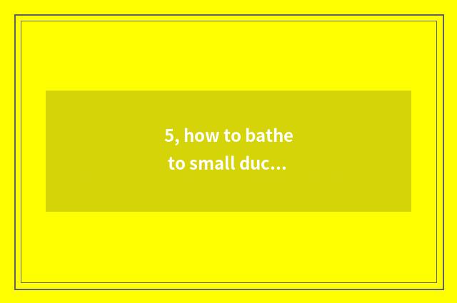 5, how to bathe to small duck?