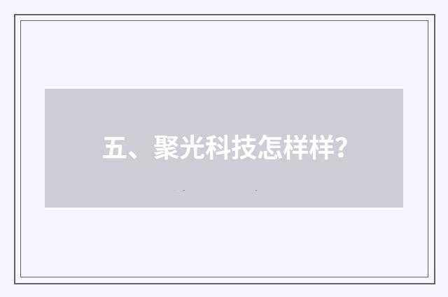 五、聚光科技怎样样？