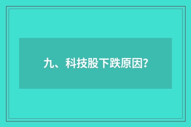 九、科技股下跌原因?