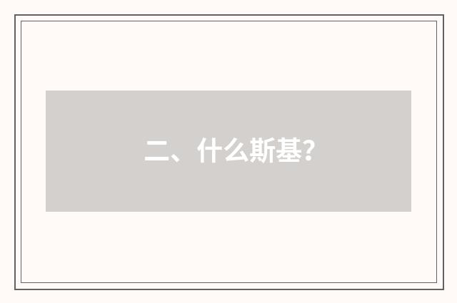 二、什么斯基?