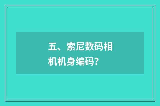 五、索尼数码相机机身编码?