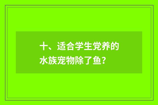 十、适合学生党养的水族宠物除了鱼？