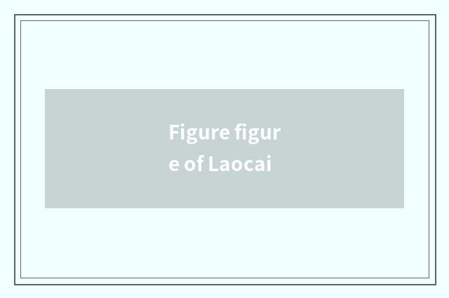 Figure figure of Laocai