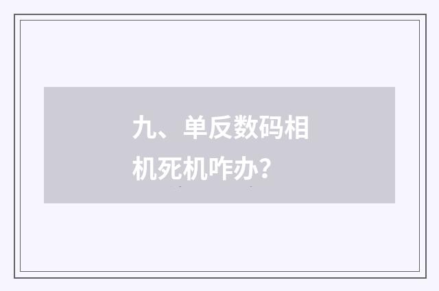 九、单反数码相机死机咋办?