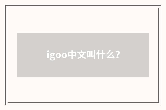 igoo中文叫什么？