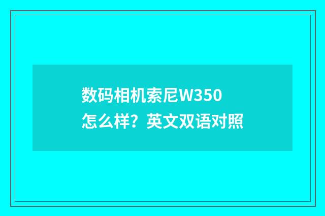 数码相机索尼W350怎么样?英文双语对照