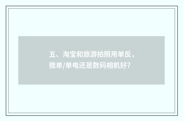 五、淘宝和旅游拍照用单反，微单/单电还是数码相机好？