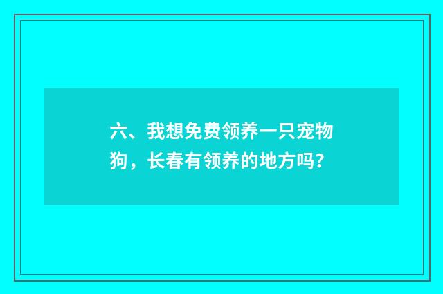 六、我想免费领养一只宠物狗,长春有领养的地方吗?