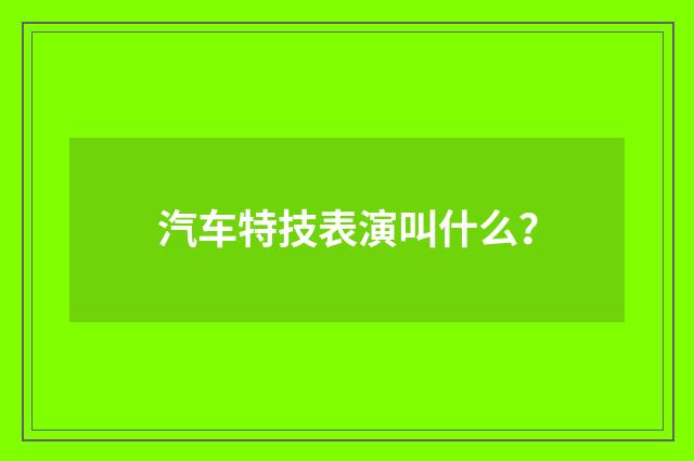 汽车特技表演叫什么?