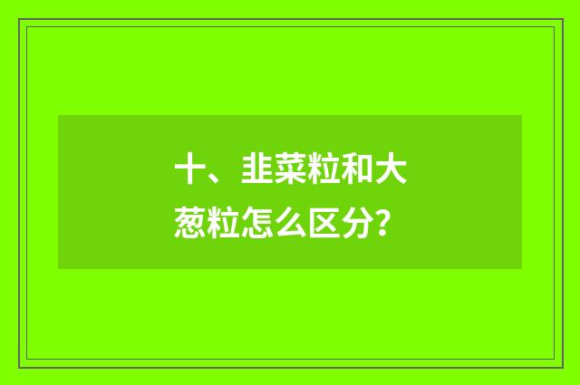 十、韭菜粒和大葱粒怎么区分?