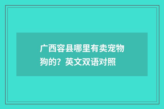 广西容县哪里有卖宠物狗的?英文双语对照