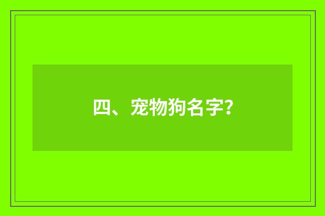 四、宠物狗名字?