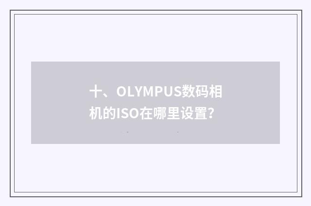 十、OLYMPUS数码相机的ISO在哪里设置?