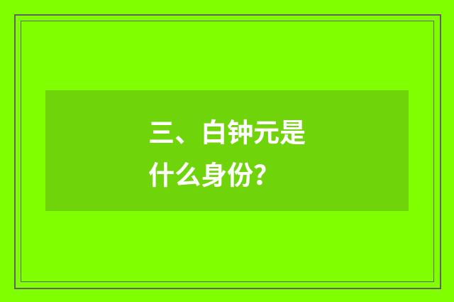三、白钟元是什么身份?